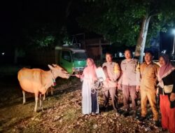 Polsek Lunyuk Kembalikan Sapi dan Barang Bukti kepada Pemilik Sah 