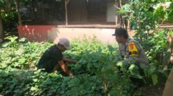 Bhabinkamtibmas Desa Mantun Dampingi Warga Kelola Pekarangan Pangan Bergizi, Dorong Kemandirian Pangan Masyarakat
