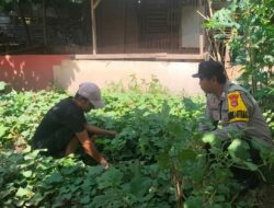 Bhabinkamtibmas Desa Mantun Dampingi Warga Kelola Pekarangan Pangan Bergizi, Dorong Kemandirian Pangan Masyarakat