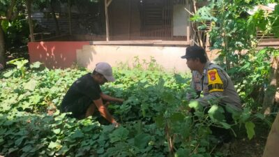 Bhabinkamtibmas Desa Mantun Dampingi Warga Kelola Pekarangan Pangan Bergizi, Dorong Kemandirian Pangan Masyarakat
