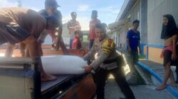 Jagung Aman, Warga Mandiri: Langkah Nyata Polri Wujudkan Ketahanan Pangan Lokal