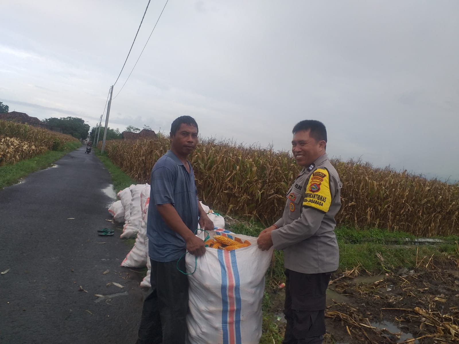 Harga Jagung di Lombok Barat: Polisi Imbau Petani Jual ke Bulog
