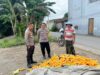 Polsek Labuapi Dorong Petani Jagung Jual Hasil Panen ke Bulog