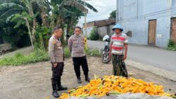 Polsek Labuapi Bantu Petani Amankan Harga Panen Jagung ke Bulog