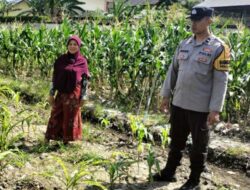 Polsek Labuapi Ubah Pekarangan Jadi ‘Lumbung Hidup’ Warga