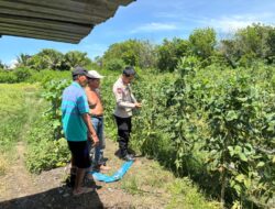 perkuat kolaborasi demi terwujudnya ketahanan pangan