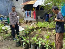 Bhabinkamtibmas Perampuan Dorong Warga Mandiri Pangan
