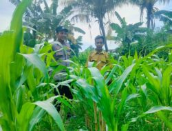 Polsek Labuapi Dorong Kemandirian Pangan di Desa Bajur