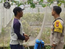 Polsek Labuapi Dorong Ketahanan Pangan di Desa Bengkel