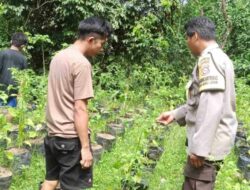 Polsek Batulayar Perkuat Ketahanan Pangan di Lombok Barat