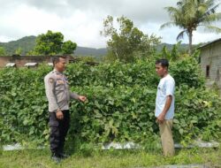 Bhabinkamtibmas Desa Tatar Dampingi Warga Kelola Pekarangan Pangan Bergizi