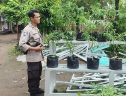 Bhabinkamtibmas Labuapi Edukasi Warga Kelola Pekarangan Bergizi