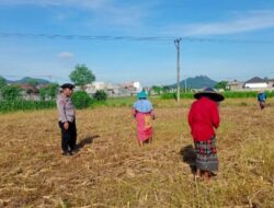 Bhabinkamtibmas Karang Bongkot Edukasi Metode TOT ke Petani