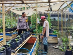 Polisi di Lombok Barat Sulap Pekarangan Warga Jadi Sumber Pangan