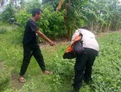 Polsek Sekotong Kawal Program Ketahanan Pangan di Lombok Barat