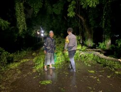 Bhabinkamtibmas Desa Pasir Putih Cek Rumah Warga Terdampak Pohon Tumbang Akibat Cuaca Ekstrem