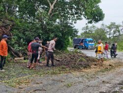 Pastikan Jalur Utama Aman, Polsek Buer Pimpin Evakuasi Pohon Tumbang di Desa Tarusa