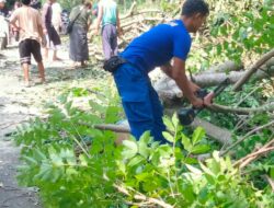 Personel Ditpolairud Polda NTB Bantu Warga Singkirkan Pohon Tumbang di Lombok Barat