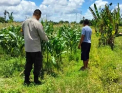 Polsek Labuapi Dorong Warga Manfaatkan Pekarangan Jadi Lumbung Pangan