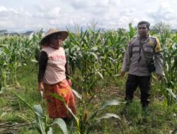 Dukung Ketahanan Pangan, Polri Sambangi Petani Bagik Polak