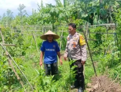 Polres Lobar Dampingi Petani Beleke Wujudkan Swasembada Pangan