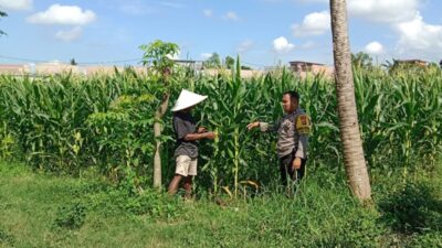 Polres Lombok Barat Intensifkan Pendampingan Ketahanan Pangan Desa