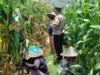 Polri Kawal Ketahanan Pangan di Lombok Barat