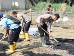 Taruna Akpol Pulihkan Ketahanan Pangan dan UMKM Warga Aceh Tamiang Lewat Pekarangan Pangan Lestari