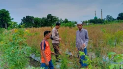Polisi di Lombok Barat Dampingi Warga Wujudkan Swasembada Pangan