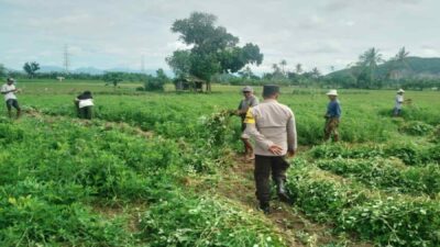 Polri Kawal Percepatan Swasembada Pangan di Lombok Barat