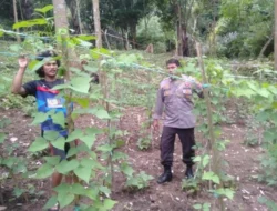 Bhabinkamtibmas Pusuk Lestari Sulap Lahan Tidur Jadi Produktif