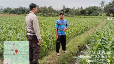 Bhabinkamtibmas Desa Korleko Cek Lahan Jagung Milik Poktan Nunas Subur
