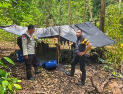 Patroli Satgas Gabungan Batulanteh Gerebek Lokasi Illegal Logging di Dusun Punik