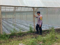 Bhabinkamtibmas Desa Kalianyar Cek Lahan Ketahanan Pangan Warga di Kalitemu Selatan