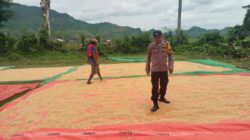 Pantau Penjemuran Jagung Warga, Polsek woja Dukung Ketahanan Pangan Menuju Indonesia Emas 2045