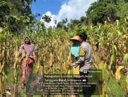 Bhabinkamtibmas Pandan Indah Sambangi Warga, Cek Tanaman Jagung dan Sampaikan Info HET