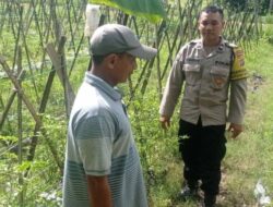 Polri Kawal Swasembada Pangan di Lombok Barat melalui Aksi Nyata