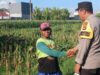 Polri Dampingi Petani Karang Bongkot Perkuat Swasembada Pangan