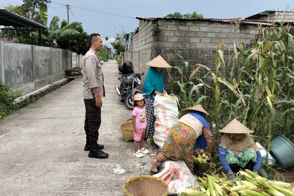 Polsek Labuapi Dampingi Petani Wujudkan Swasembada Pangan