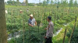 Sinergi Polri dan TNI, Aiptu Azhari dan Sertu Ruslan Haryadi Sambangi Ketua Gapoktan Rarang Selatan