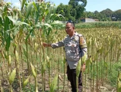 Polisi Dorong Kemandirian Pangan di Lombok Barat