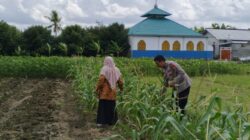 Polri Ajak Warga Telagawaru Optimalkan Lahan Pekarangan