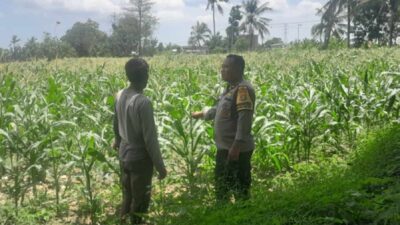 Polsek Labuapi Kawal Swasembada Pangan di Bagik Polak Barat