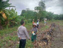 Dukung Ketahanan Pangan, Bhabinkamtibmas Desa Pringgabaya Dampingi Penanaman Jagung di Lahan Warga