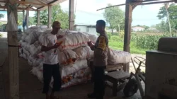 Polsek Gerung Edukasi Warga Manfaatkan Polibag untuk Pangan Mandiri