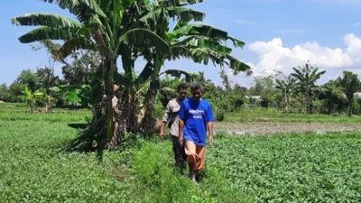 Polsek Labuapi Dorong Ketahanan Pangan Melalui Pekarangan Bergizi