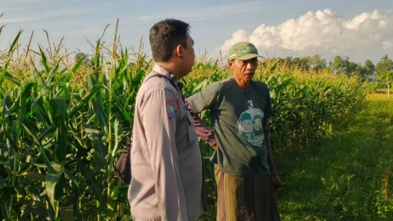 Lombok Barat Optimalkan Kedaulatan Pangan Lewat Sektor Desa