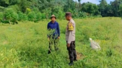 Polsek Gerung Edukasi Pertanian Mandiri di Desa Kebon Ayu