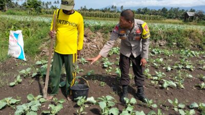 Bhabinkamtibmas Desa Bagik Papan Lakukan Silaturahmi dan Pengecekan Tanaman Warga