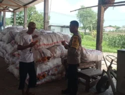Langkah Cerdas Bhabinkamtibmas Dasan Geres: Ubah Lahan Sempit Jadi Sumber Pangan Produktif